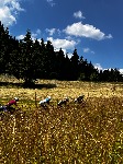 IMG_1185.jpeg