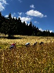 IMG_1186.jpeg