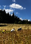 IMG_1187.jpeg