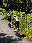 IMG_1228.jpeg