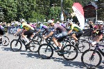 IMG_4214.JPG