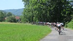 IMG_5900.JPG